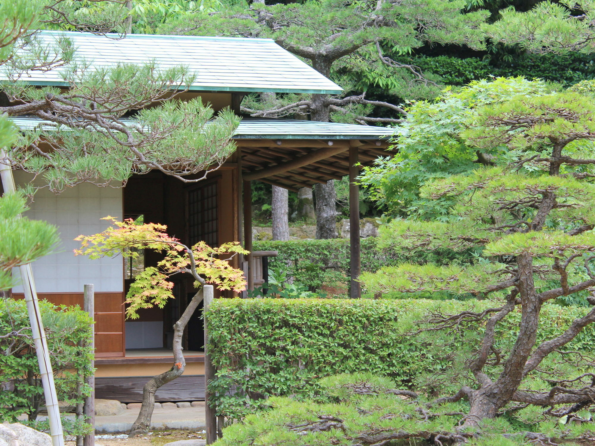 Hotel Gyokusen Matsue Buitenkant foto